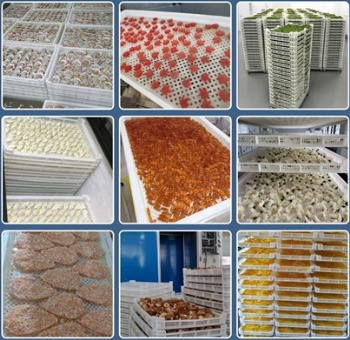 food dry tray